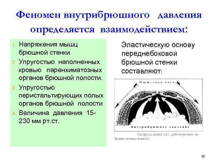 Внутрибрюшное давление