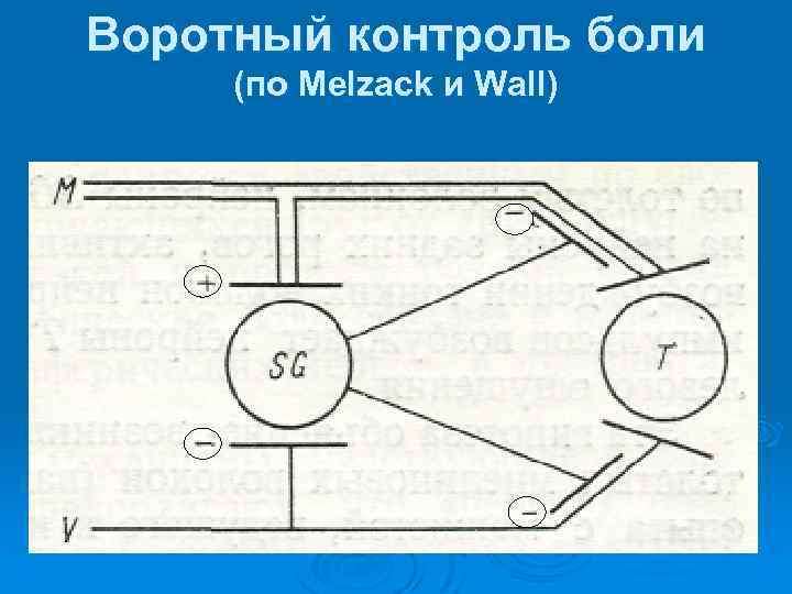 Воротный контроль боли (по Melzack и Wall) 