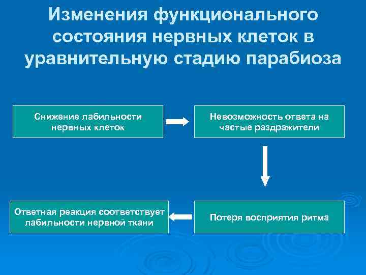 Изменения функционального состояния нервных клеток в уравнительную стадию парабиоза Снижение лабильности нервных клеток Невозможность