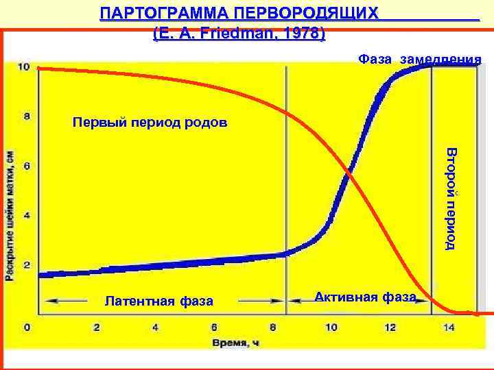 ПАРТОГРАММА ПЕРВОРОДЯЩИХ (E. A. Friedman, 1978) Фаза замедления Первый период родов Второй период Латентная