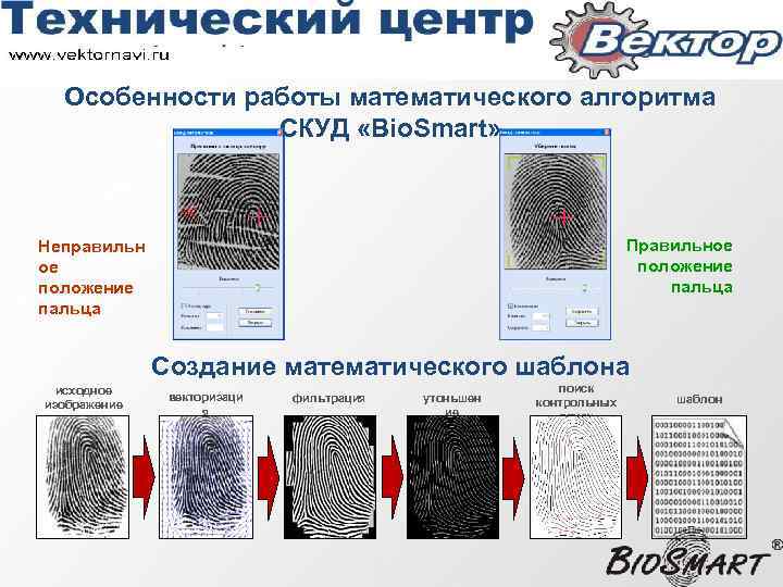 Особенности работы математического алгоритма СКУД «Bio. Smart» Правильное положение пальца Неправильн ое положение пальца