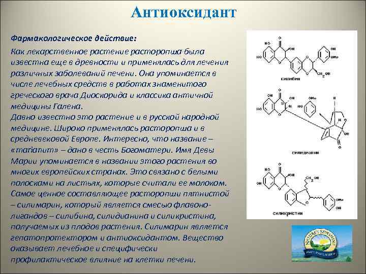 Антиоксидант Фармакологическое действие: Как лекарственное растение расторопша была известна еще в древности и применялась