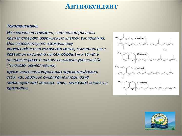 Антиоксидант Токотриенолы. Исследования показали, что токотриенолы препятствуют разрушению клеток гиппокампа. Они способствуют нормальному кровоснабжению