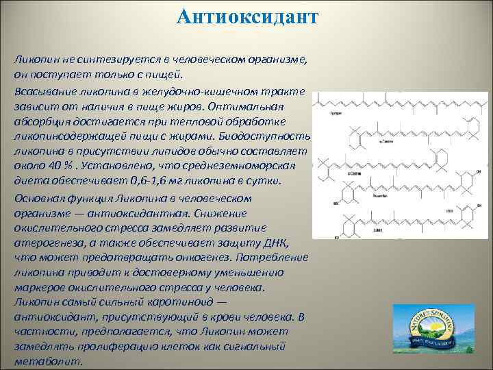 Антиоксидант Ликопин не синтезируется в человеческом организме, он поступает только с пищей. Всасывание ликопина