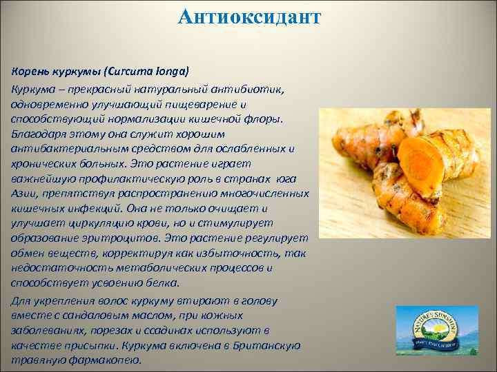 Антиоксидант Корень куркумы (Curcuma longa) Куркума – прекрасный натуральный антибиотик, одновременно улучшающий пищеварение и