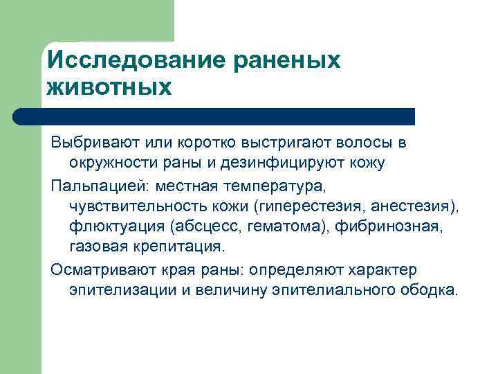 Исследование раненых животных Выбривают или коротко выстригают волосы в окружности раны и дезинфицируют кожу