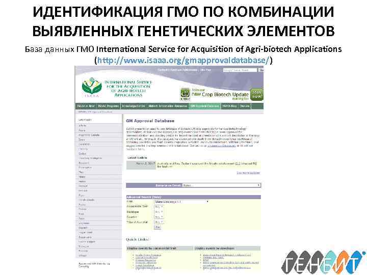 ИДЕНТИФИКАЦИЯ ГМО ПО КОМБИНАЦИИ ВЫЯВЛЕННЫХ ГЕНЕТИЧЕСКИХ ЭЛЕМЕНТОВ База данных ГМО International Service for Acquisition