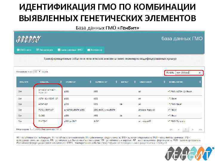 ИДЕНТИФИКАЦИЯ ГМО ПО КОМБИНАЦИИ ВЫЯВЛЕННЫХ ГЕНЕТИЧЕСКИХ ЭЛЕМЕНТОВ База данных ГМО «Ген. Бит» 