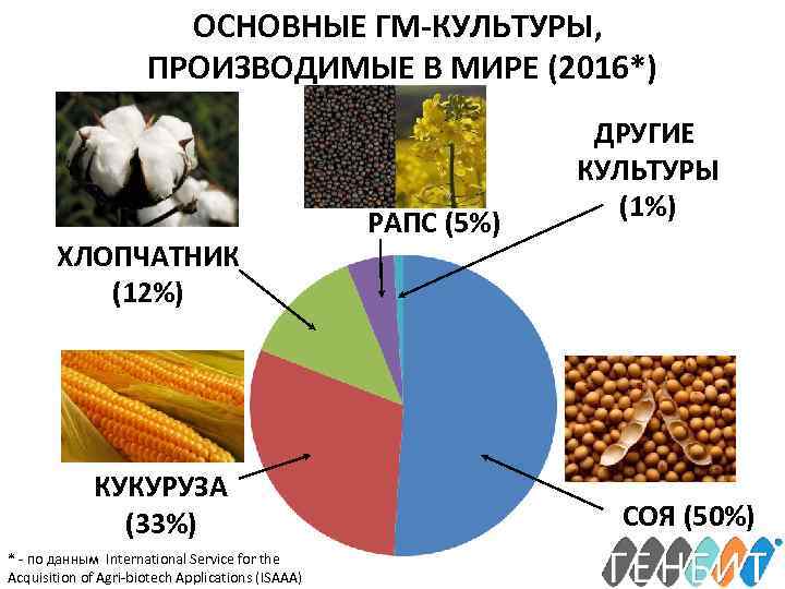 ОСНОВНЫЕ ГМ-КУЛЬТУРЫ, ПРОИЗВОДИМЫЕ В МИРЕ (2016*) ХЛОПЧАТНИК (12%) КУКУРУЗА (33%) * - по данным