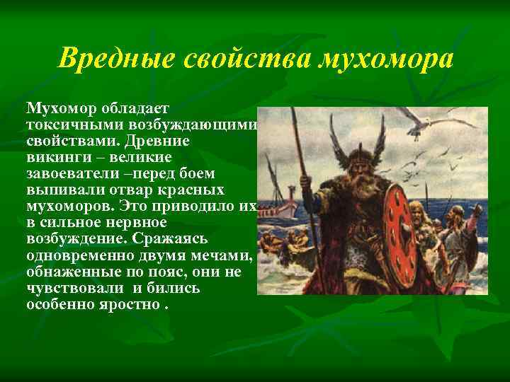 Вредные свойства мухомора Мухомор обладает токсичными возбуждающими свойствами. Древние викинги – великие завоеватели –перед