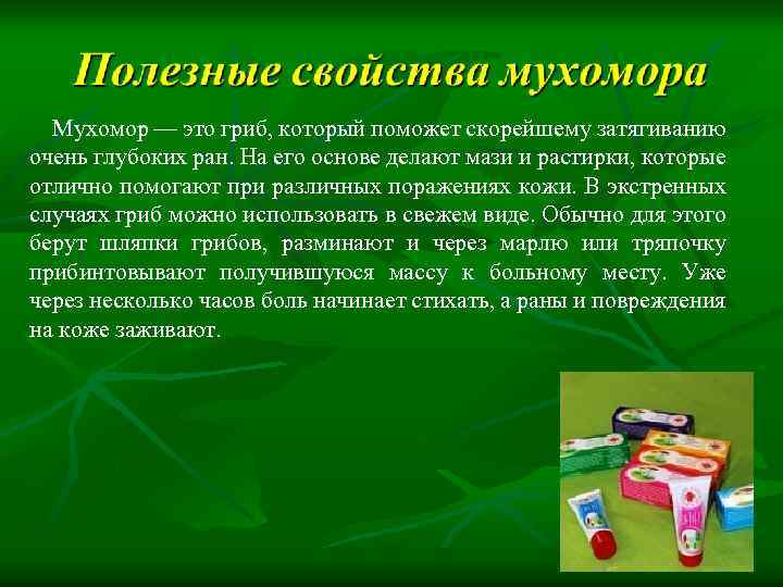 Мухомор — это гриб, который поможет скорейшему затягиванию очень глубоких ран. На его основе