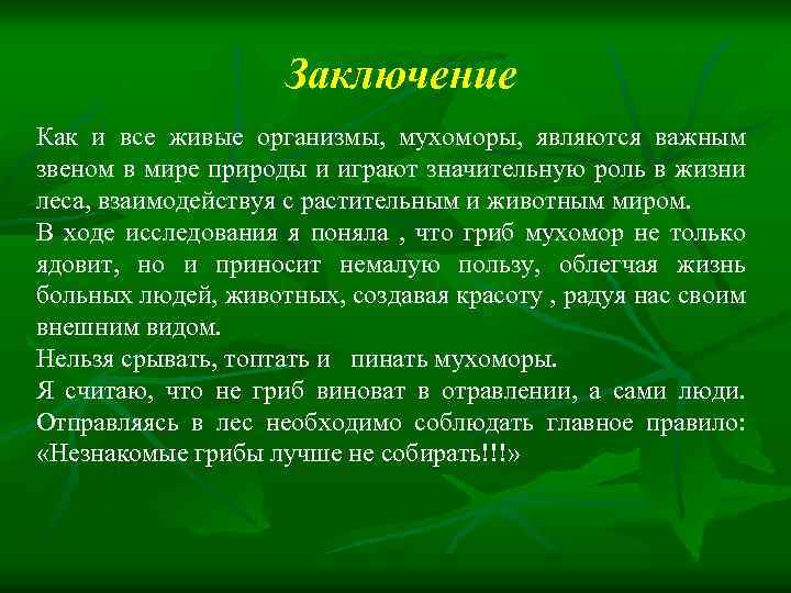 Заключение Как и все живые организмы, мухоморы, являются важным звеном в мире природы и