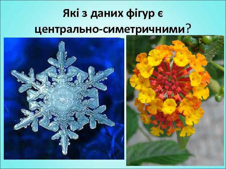 Які з даних фігур є центрально-симетричними? 