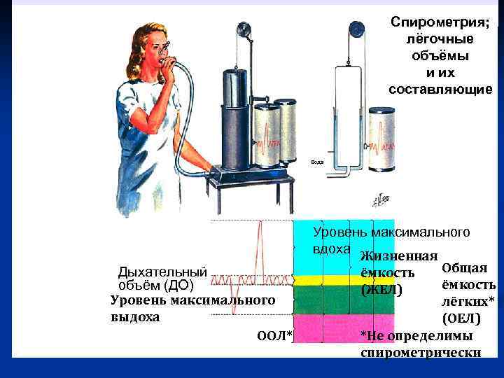 Спирометрия; лёгочные объёмы и их составляющие Вода © Novartis Дыхательный объём (ДО) Уровень максимального