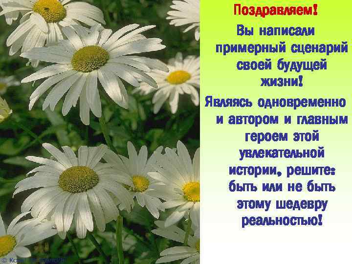 Поздравляем! Вы написали примерный сценарий своей будущей жизни! Являясь одновременно и автором и главным