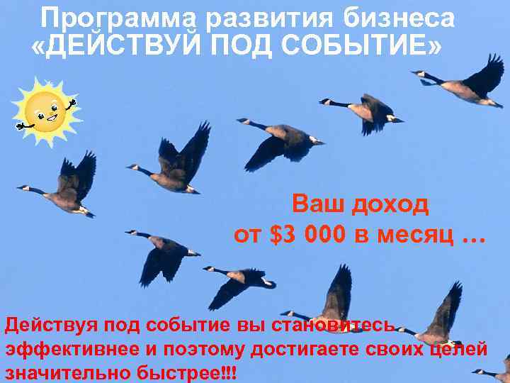 Программа развития бизнеса «ДЕЙСТВУЙ ПОД СОБЫТИЕ» Ваш доход от $3 000 в месяц …