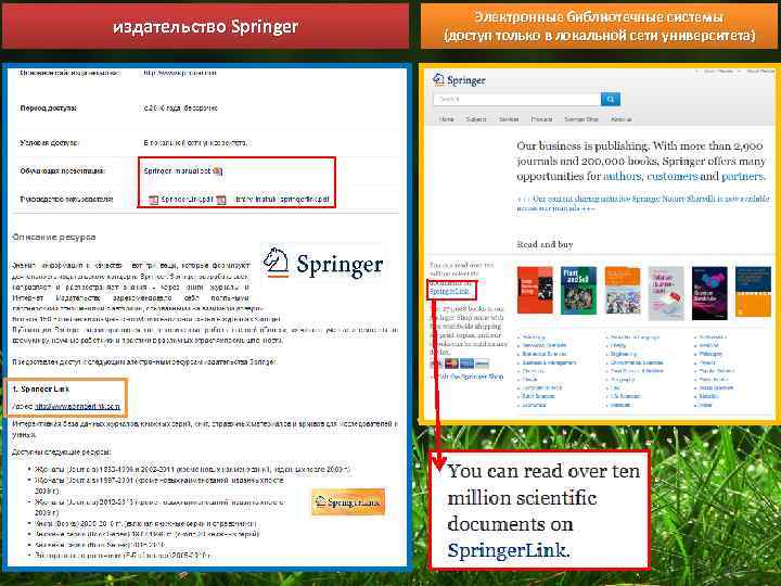 издательство Springer Электронные библиотечные системы (доступ только в локальной сети университета) 