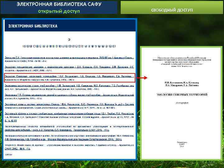 ЭЛЕКТРОННАЯ БИБЛИОТЕКА САФУ открытый доступ СВОБОДНЫЙ ДОСТУП 