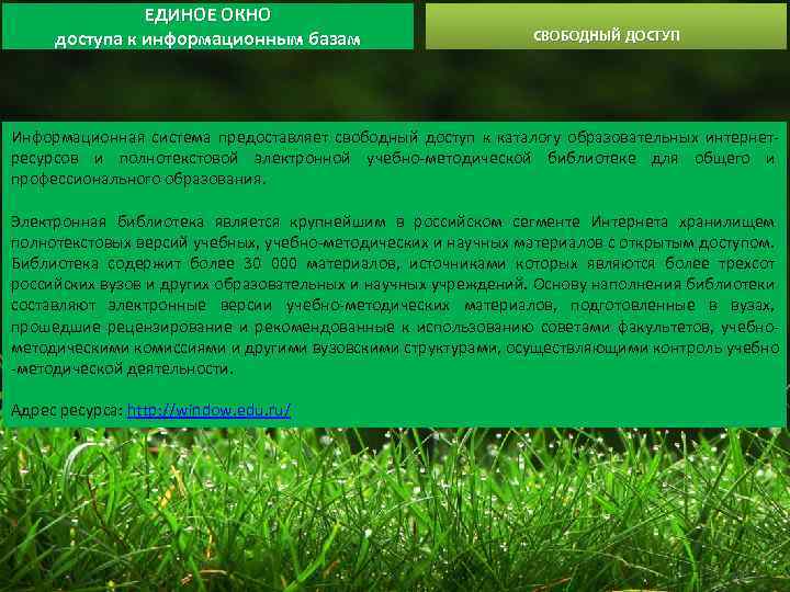 ЕДИНОЕ ОКНО доступа к информационным базам СВОБОДНЫЙ ДОСТУП Информационная система предоставляет свободный доступ к
