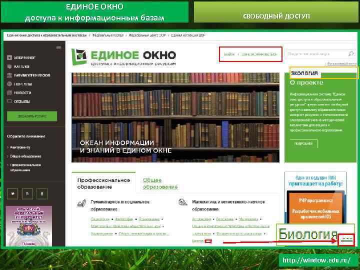 ЕДИНОЕ ОКНО доступа к информационным базам СВОБОДНЫЙ ДОСТУП http: //window. edu. ru/ 
