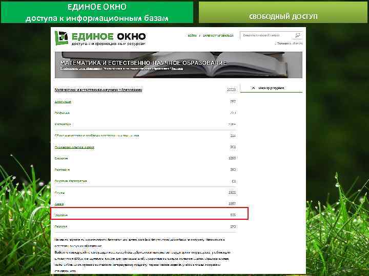 ЕДИНОЕ ОКНО доступа к информационным базам СВОБОДНЫЙ ДОСТУП 
