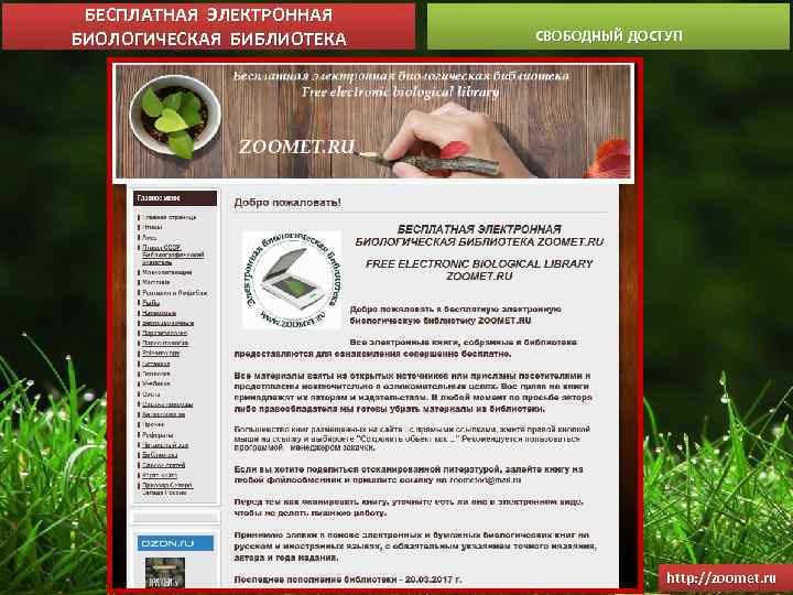 БЕСПЛАТНАЯ ЭЛЕКТРОННАЯ БИОЛОГИЧЕСКАЯ БИБЛИОТЕКА СВОБОДНЫЙ ДОСТУП http: //zoomet. ru 