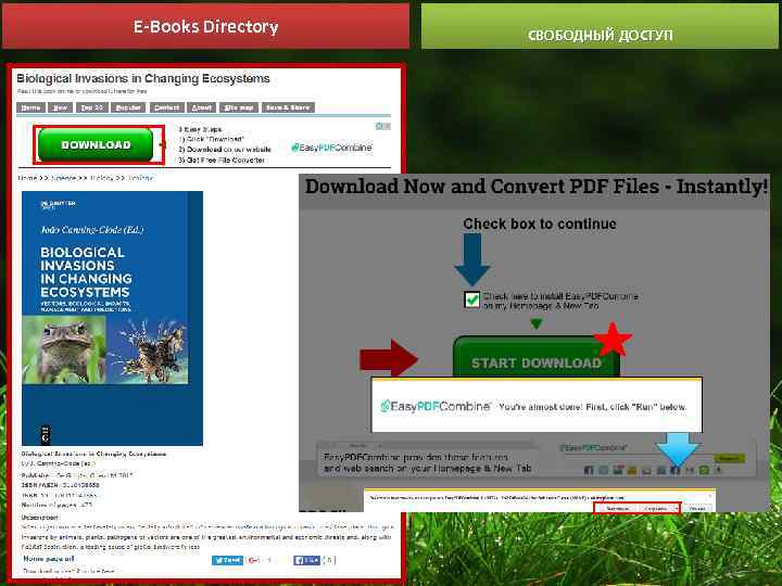 E-Books Directory СВОБОДНЫЙ ДОСТУП 