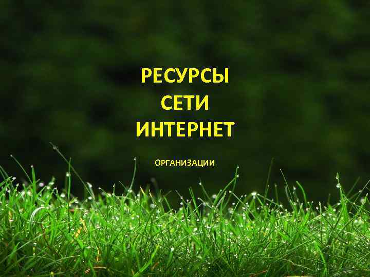 РЕСУРСЫ СЕТИ ИНТЕРНЕТ ОРГАНИЗАЦИИ 