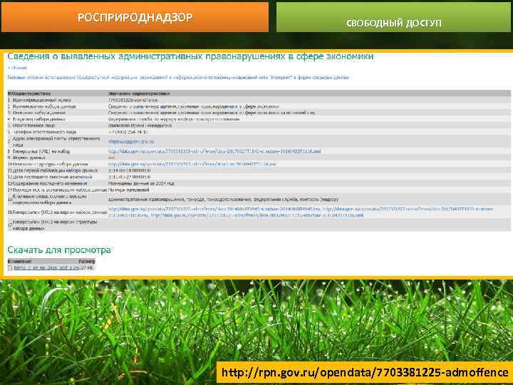 РОСПРИРОДНАДЗОР СВОБОДНЫЙ ДОСТУП http: //rpn. gov. ru/opendata/7703381225 -admoffence 