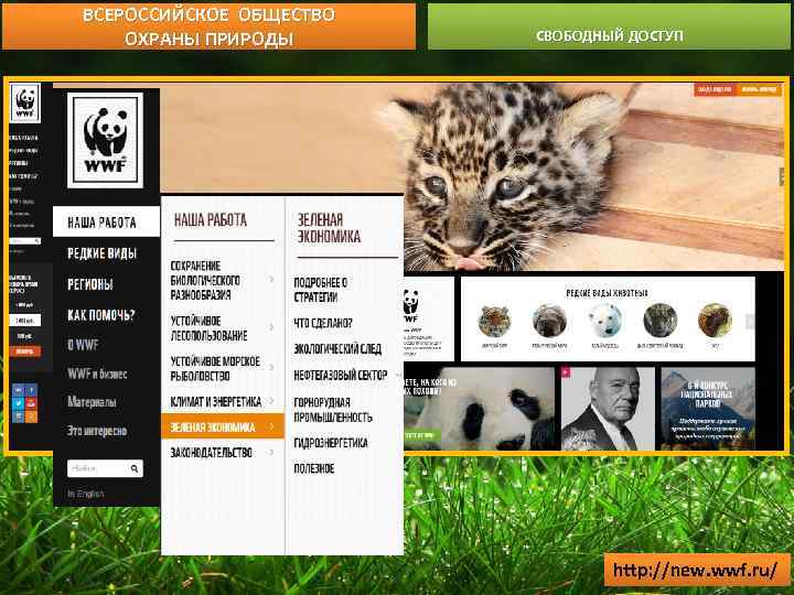 ВСЕРОССИЙСКОЕ ОБЩЕСТВО ОХРАНЫ ПРИРОДЫ СВОБОДНЫЙ ДОСТУП http: //new. wwf. ru/ 