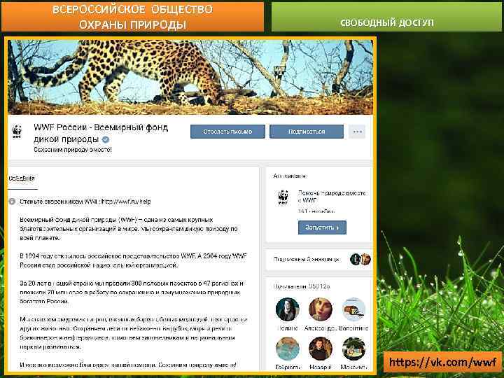 ВСЕРОССИЙСКОЕ ОБЩЕСТВО ОХРАНЫ ПРИРОДЫ СВОБОДНЫЙ ДОСТУП https: //vk. com/wwf 