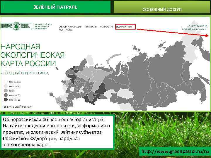 Общероссийская общественная организация зеленый патруль проекты