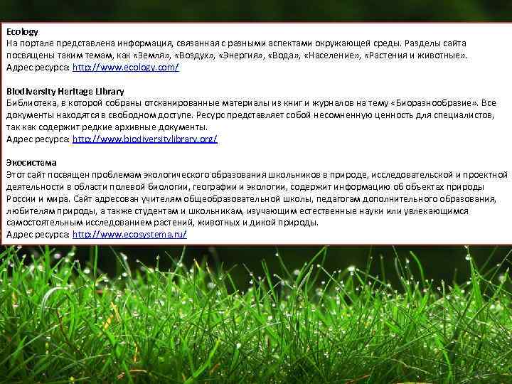 Ecology На портале представлена информация, связанная с разными аспектами окружающей среды. Разделы сайта посвящены