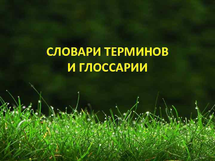 СЛОВАРИ ТЕРМИНОВ И ГЛОССАРИИ 