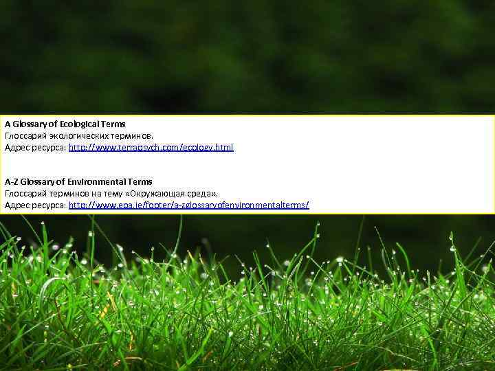 A Glossary of Ecological Terms Глоссарий экологических терминов. Адрес ресурса: http: //www. terrapsych. com/ecology.