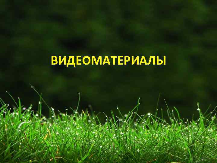 ВИДЕОМАТЕРИАЛЫ 