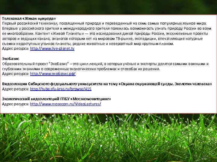 Телеканал «Живая природа» Первый российский телеканал, посвященный природе и переведенный на семь самых популярных