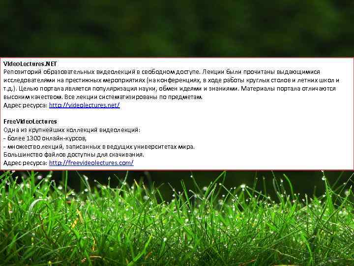 Video. Lectures. NET Репозиторий образовательных видеолекций в свободном доступе. Лекции были прочитаны выдающимися исследователями