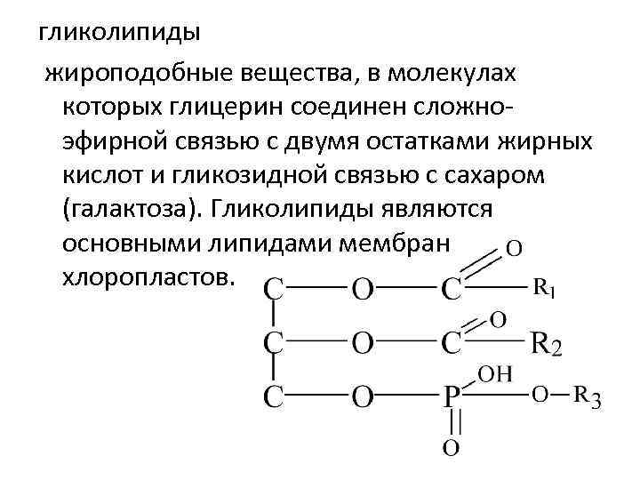 Глицерин липид