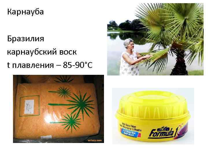 Карнауба Бразилия карнаубский воск t плавления – 85 -90°С 