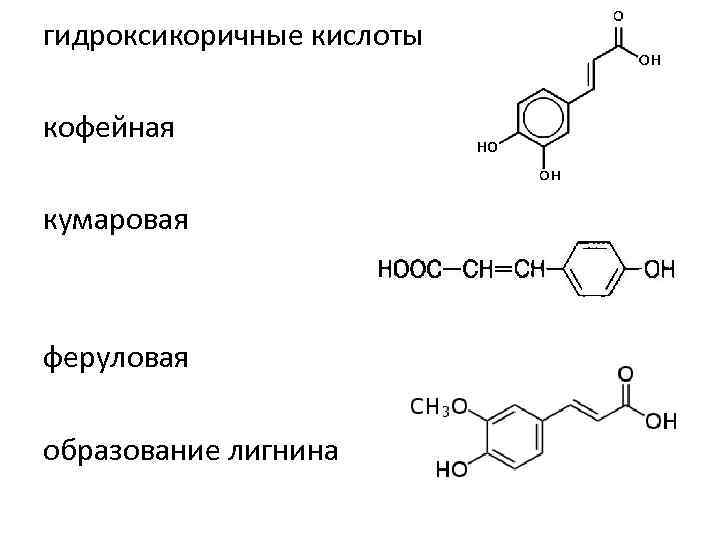 Феруловая кислота