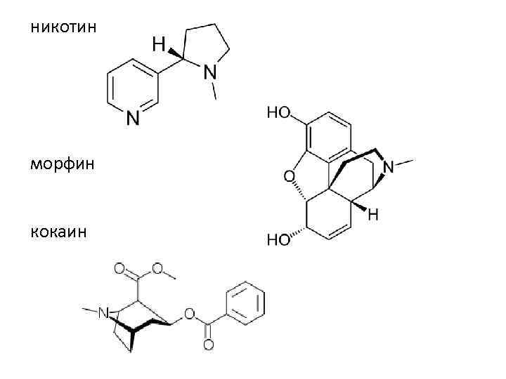 никотин морфин кокаин 