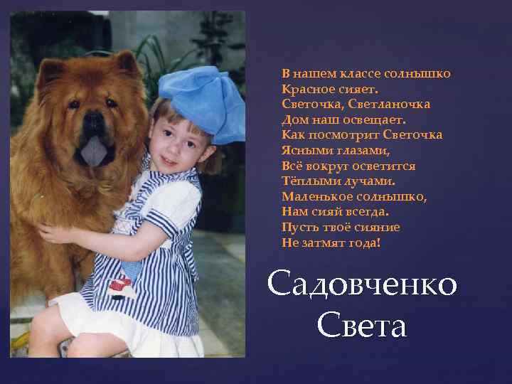 В нашем классе солнышко Красное сияет. Светочка, Светланочка Дом наш освещает. Как посмотрит Светочка