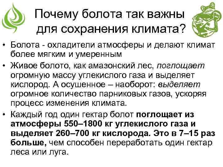 Почему болота так важны для сохранения климата? • Болота - охладители атмосферы и делают