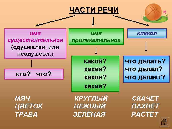 ЧАСТИ РЕЧИ имя существительное (одушевлен. или неодушевл. ) кто? что? МЯЧ ЦВЕТОК ТРАВА имя