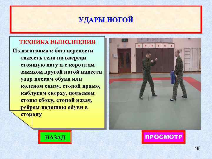 УДАРЫ НОГОЙ ТЕХНИКА ВЫПОЛНЕНИЯ Из изготовки к бою перенести тяжесть тела на впереди стоящую