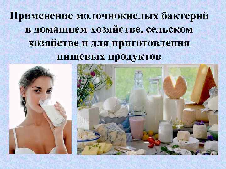 Применение молочнокислых бактерий в домашнем хозяйстве, сельском хозяйстве и для приготовления пищевых продуктов 