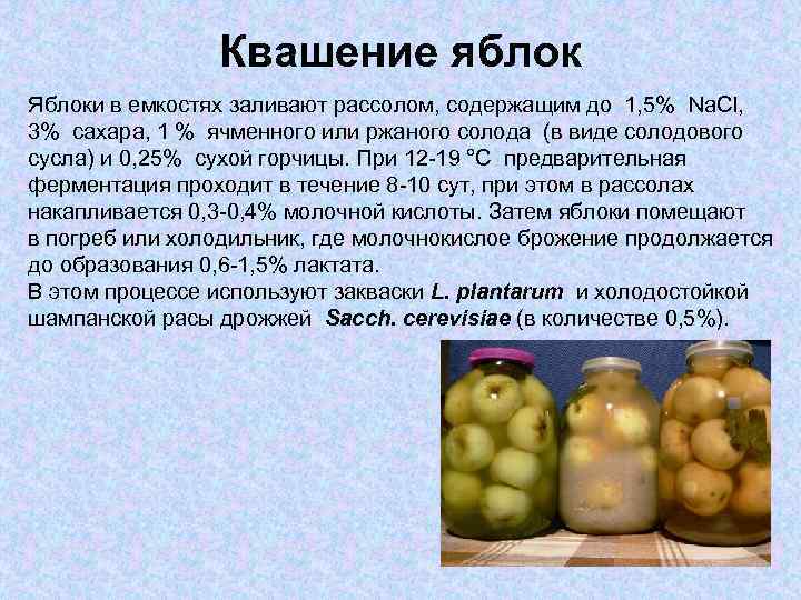Квашение яблок Яблоки в емкостях заливают рассолом, содержащим до 1, 5% Na. Cl, 3%
