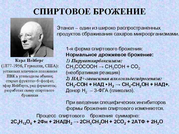 СПИРТОВОЕ БРОЖЕНИЕ Этанол – один из широко распространенных продуктов сбраживания сахаров микроорганизмами. Карл Нейберг