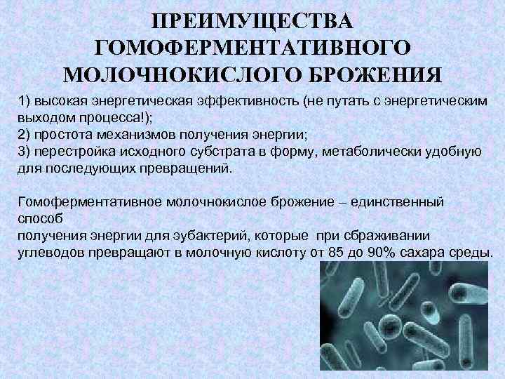 Молочнокислое гомоферментативное брожение схема